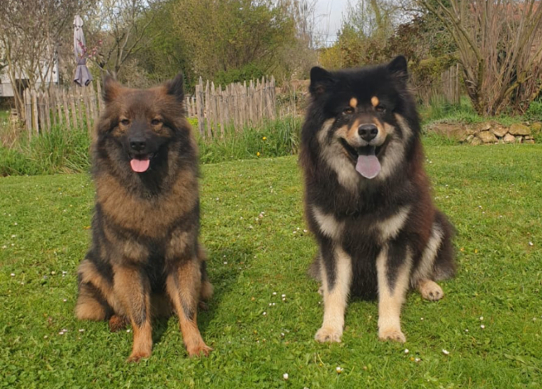 Auri und Nestor